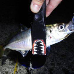 海面をライトで照らすのはやめてください